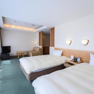 Twin Room - Disability Access