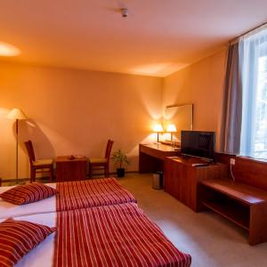 Standard  Room