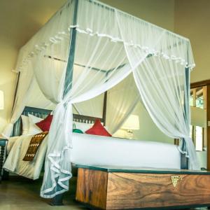 Queen Suite