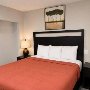 Deluxe King Suite