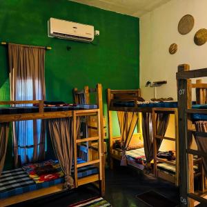 Bed in 6-Bed Mixed Dormitory Room