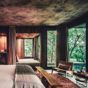Fuego Suite 