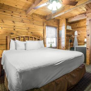 One-Bedroom Cabin with One King or Queen Bed and Two Twin Beds in Loft
