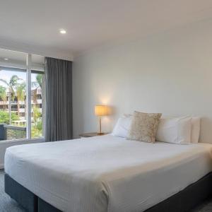 King Room with No View 