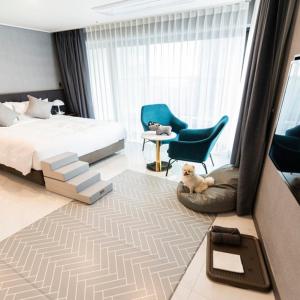 Dog Friendly Suite Double Room