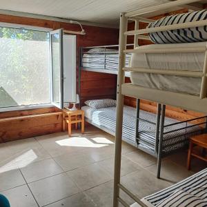 Bed in 4-Bed Female Dormitory Room