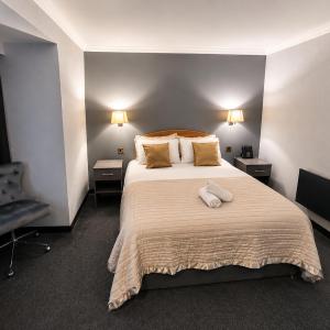Single Guest Room
