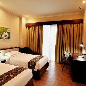 Deluxe Double or Twin Room