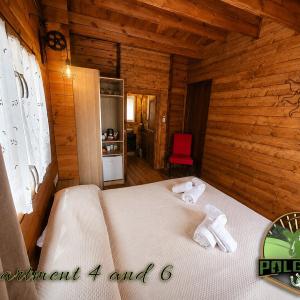 Double Room with Patio