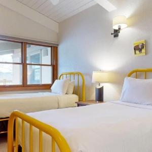 Top of the Village - Leaf 903