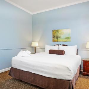 Lavender Junior Suite