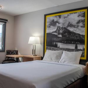Queen Room with Kitchenette - Non-Smoking