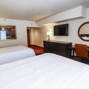 Executive Queen Room with Two Queen Beds