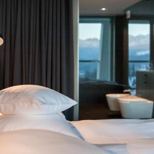 Panoramic Mountainview Double Room