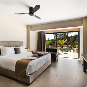 Deluxe Double or Twin Room with Pool View
