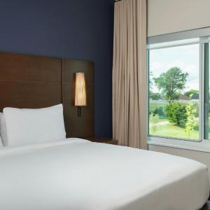One-Bedroom King Suite with Sofa Bed 