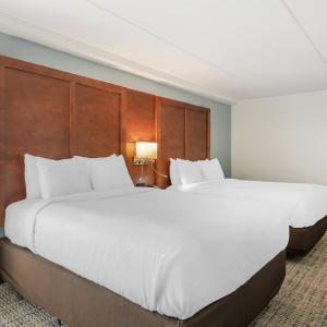 Queen Suite with One-Person Sofa Bed - Non-Smoking/Pet-Friendly