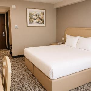 King Room - Non-Smoking