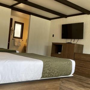 2 Double Beds Nonsmoking Pet-friendly