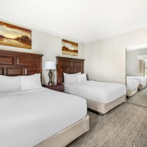 Non-Smoking One Double Bedroom Suite