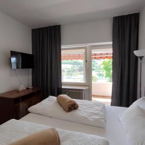 One-Bedroom Apartment with River View