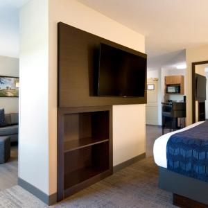 Deluxe One-Bedroom King Suite