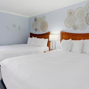 Deluxe Queen Suite