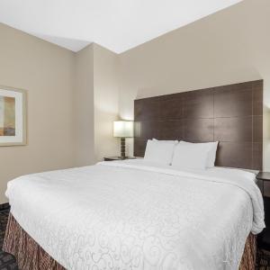 Family King Suite with Sofa Bed - Non-Smoking