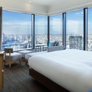 Deluxe Corner King Room with View Bath - Non-Smoking