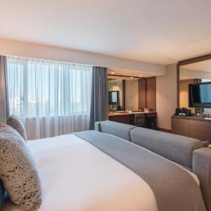 Junior King Suite with Park View