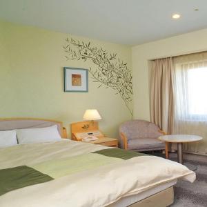 Superior Double Room - Non-Smoking