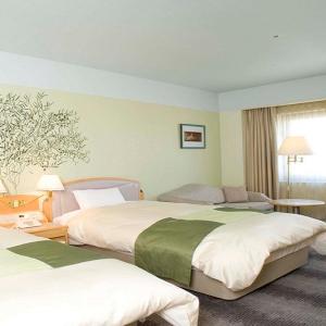 Superior Twin Room - Non-Smoking