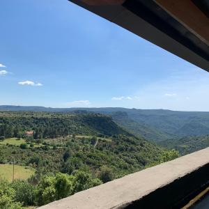Twin Room with View