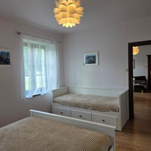 One-Bedroom Family Apartment
