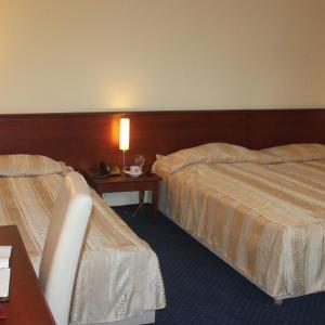 Triple Room (2 Adults + 1 Child)