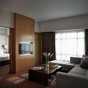 Executive King Suite with Living Room and Lounge Access
