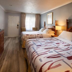 2 Queen Bed	