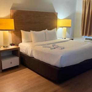 One King Bed Suite with Sofa Bed Non Smoking