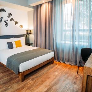 Contemporary Open Plan Room One Queen Bed Paraplegic