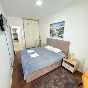 Deluxe One-Bedroom Apartment