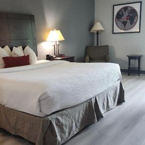 King Room  -  Non-Smoking