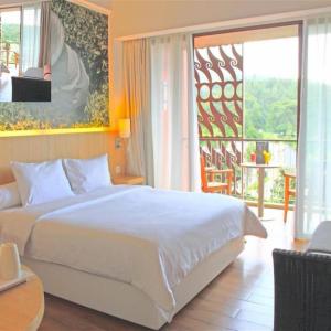 Double or Twin Room with Mountain View