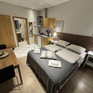 Superior Studio with Kitchenette 