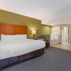 King Room with Spa Bath - Non-Smoking