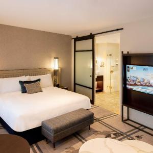 Superior King Suite
