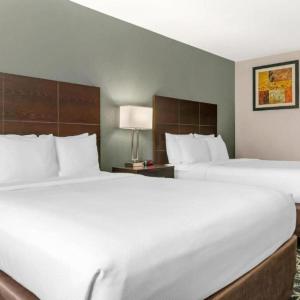 Queen Room with Two Queen Beds - Non Smoking