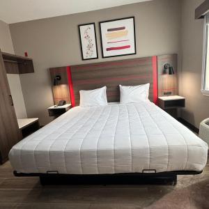 King Studio Suite with Roll-In Shower - Mobility Accessible/Non-Smoking