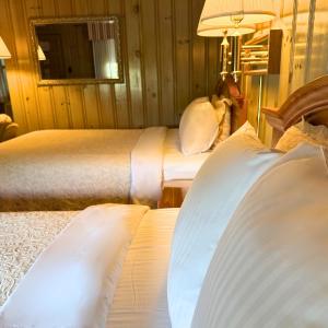 Standard Queen Room with Two Queen Beds