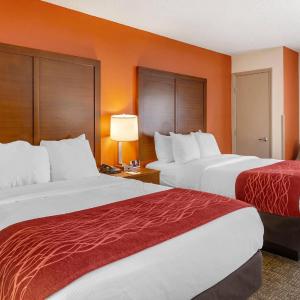 Double Room with Two Double Beds - Accessible/Non-Smoking