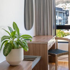Classic Twin Room with Mountain View